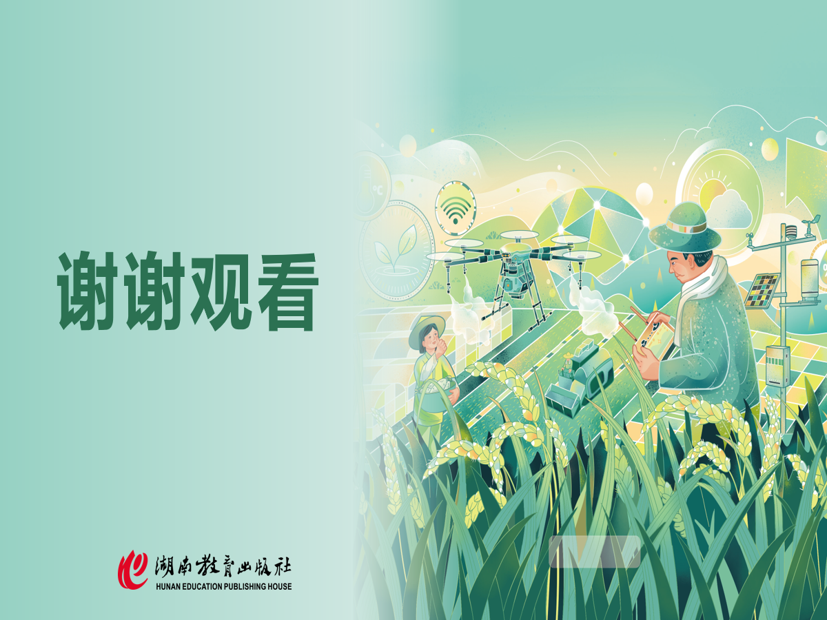 幻灯片 12