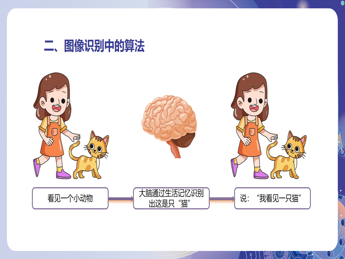 幻灯片 7